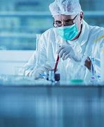 research fellow